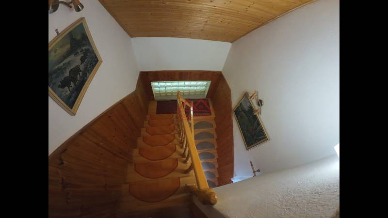 upravene9_00086400.jpg