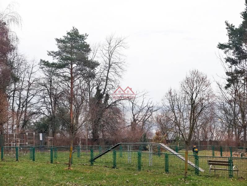 IMG_20251216_153218-denoise - Copy.jpg