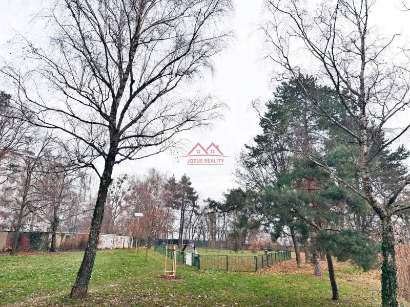 IMG_20251216_153245-denoise - Copy.jpg