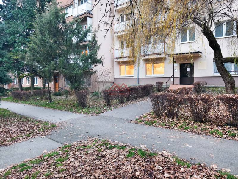 IMG_20251216_153540-denoise - Copy.jpg