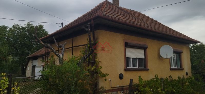 1789721464000.jpg